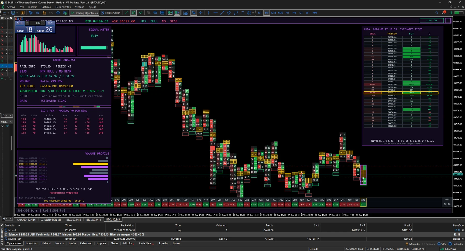 Footprint por precio y lupa de ticks